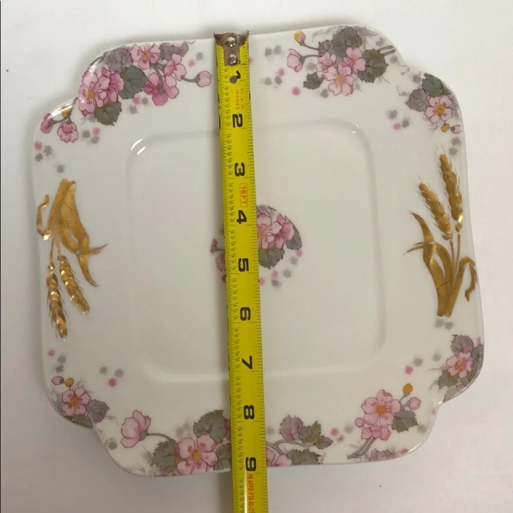 1880's HAVILAND & CO. LIMOGES H&CO DEPOSE